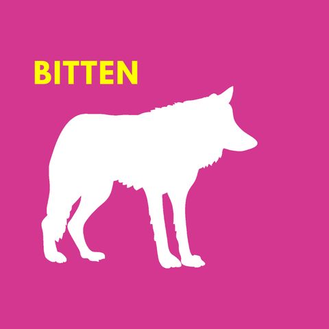 Bitten, libro e serie tv sulla donna lupo