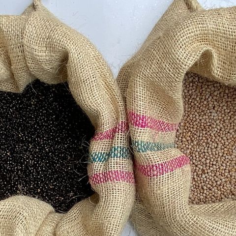 Atributos