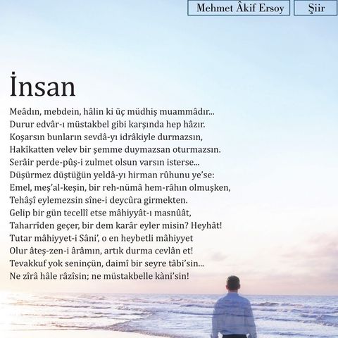 İnsan