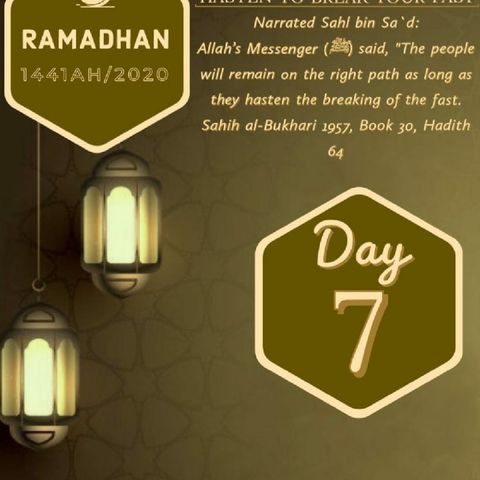 Episode 2 - Day 7