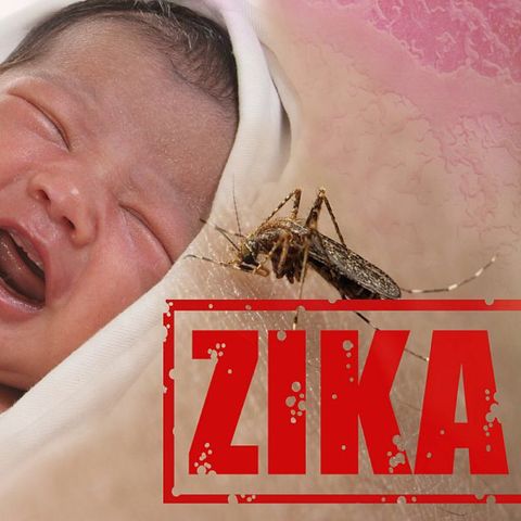 Zika Virus Politics