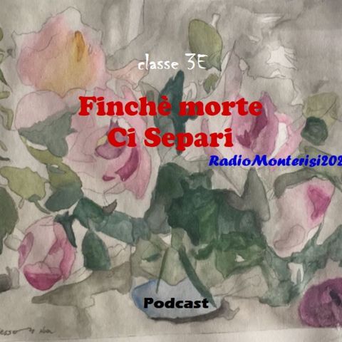 3E_Finchèmortecisepari