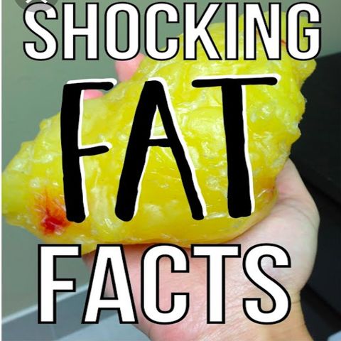 Putting Fact To Fat