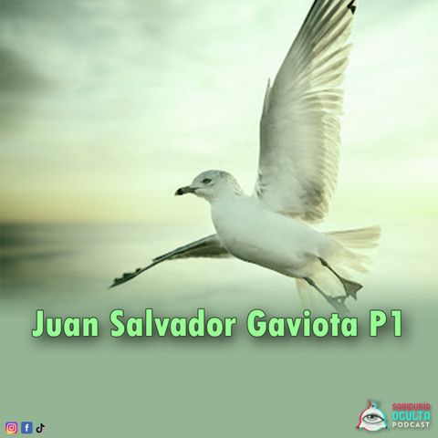 Juan Salvador Gaviota P1