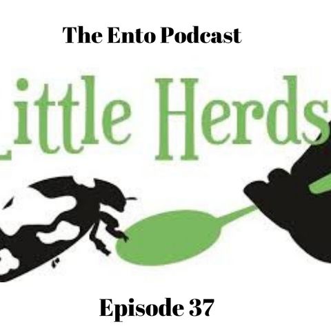 Episode 37 - The Ento Podcast