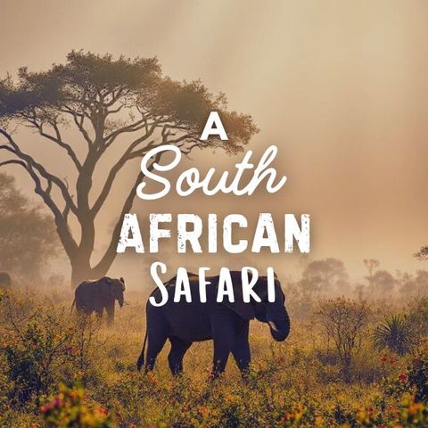 An African Safari Adventure