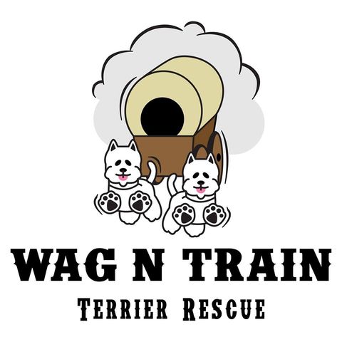 Montez and Shari Talk w/ Connie from Wag-n-Train Terrier Rescue