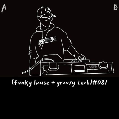 (funky house + groovy tech) #081