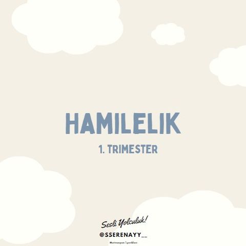 Hamilelik Süreci | 1. Trimester nasıl geçti? = bulantı :)