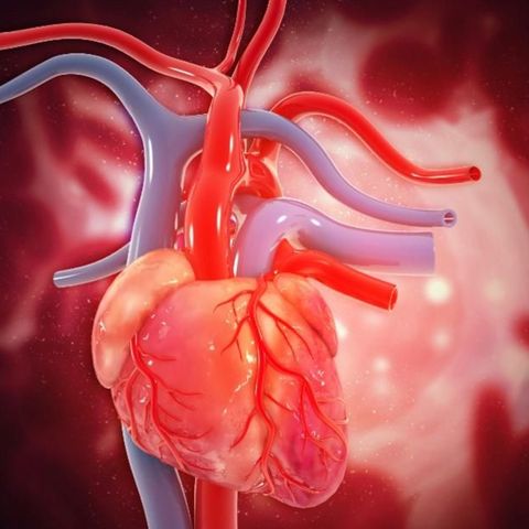 Mejorando Sobrevida en la insuficiencia Cardiaca