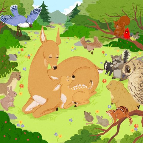 Bambi | Kindergeschichten