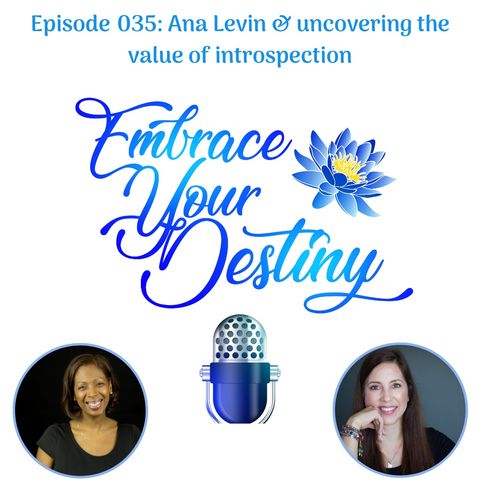 Episode 035: Ana Levin & uncovering the value of introspection