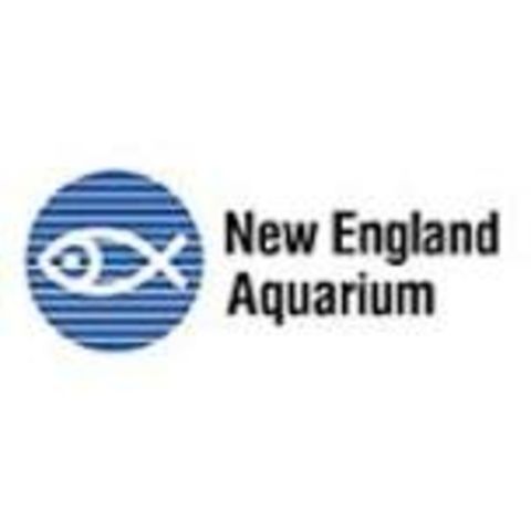 New England Aquarium Kidcast