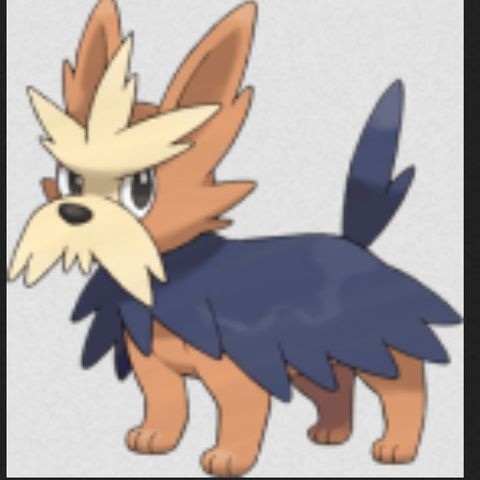 #507 Herdier