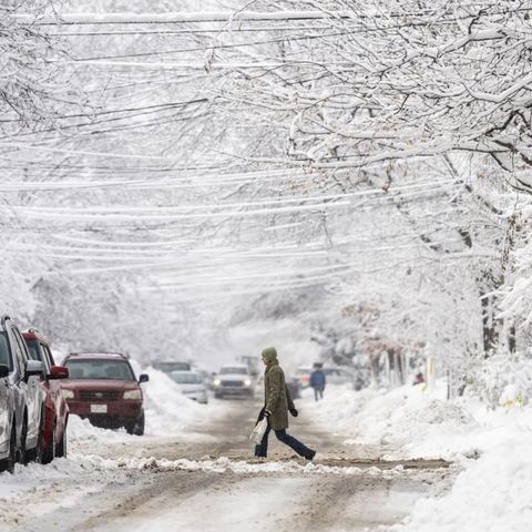 Quebec Snow Day Predictions Be Prepared