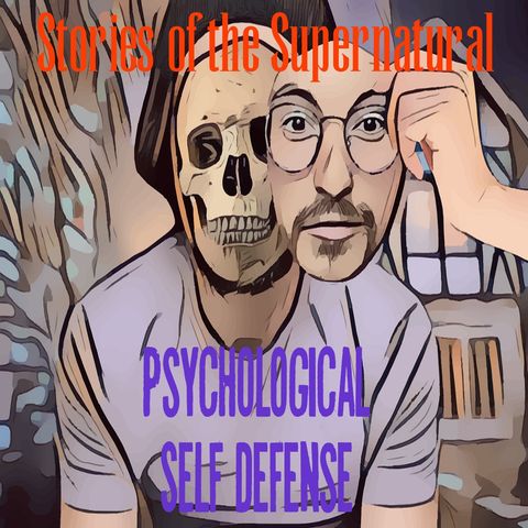 Psychological Self Defense | Interview with Stefan Verstappen | Podcast