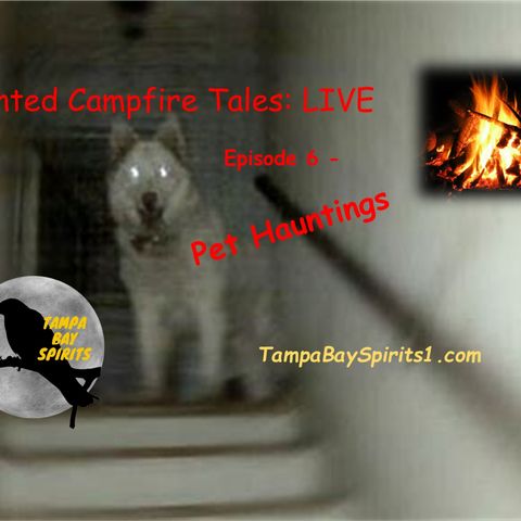 HAUNTED CAMPFIRE TALES: LIVE - Episode 6 - PET HAUNTINGS