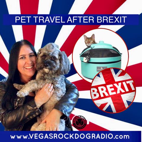 Pet Travel After Brexit