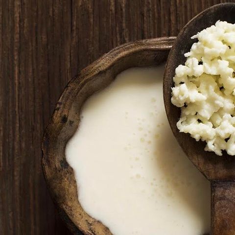 215: Kefir: a unique probiotic drink