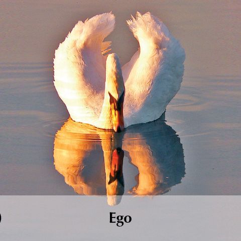 Co zrobić z Ego ?