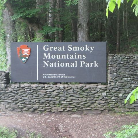Hiking the Great Smoky Mountains