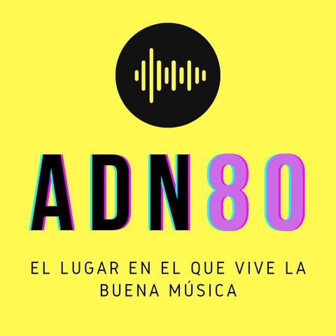 Programa 17 2022
