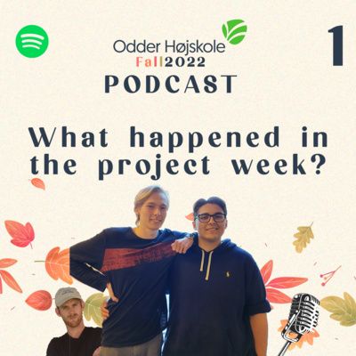 Episode 1 - What is the Project Week? VIDEO ART?