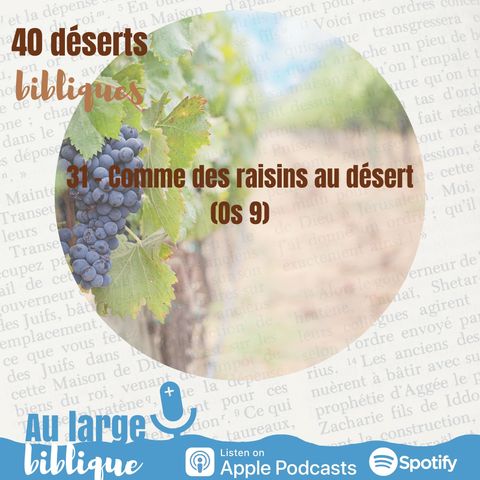 #48 Désert 31 - Comme des raisins au désert (Os 9)