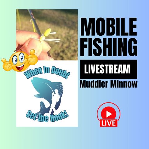 Pond Fly Fishing  - Foam Grasshopper, Another Quick Trip - Mobile Fishing Livestream 32 (Audio Podcast)