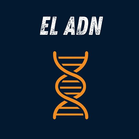🧬 ADN | Temporada 2 #10