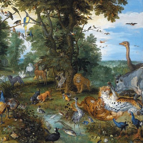Fruit-Eating Lions