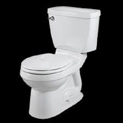 How to Choose the Best Flush Toilet