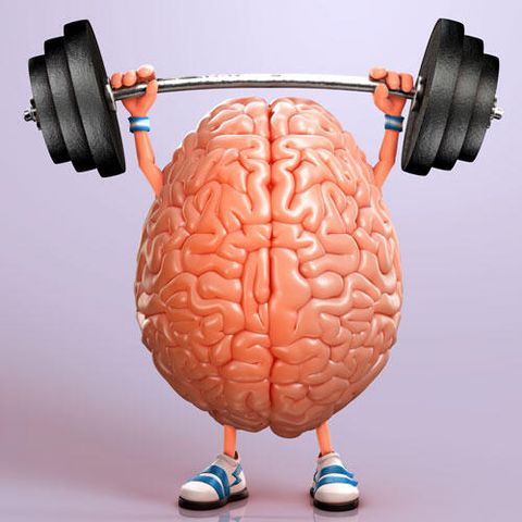 Il Cervello