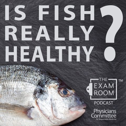 Is Fish Really Healthy?