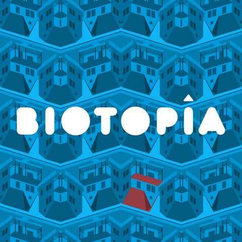 T01E08 - Capítulo 8: El juicio