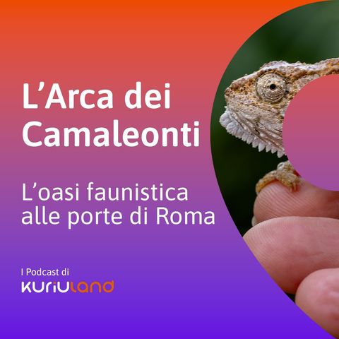 L'Arca dei Camaleonti. L'oasi faunistica alle porte di Roma