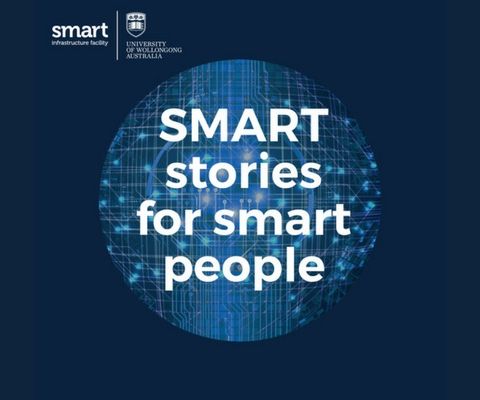 10: Keeping An Eye On Sharks - SMART Stories for Smart People