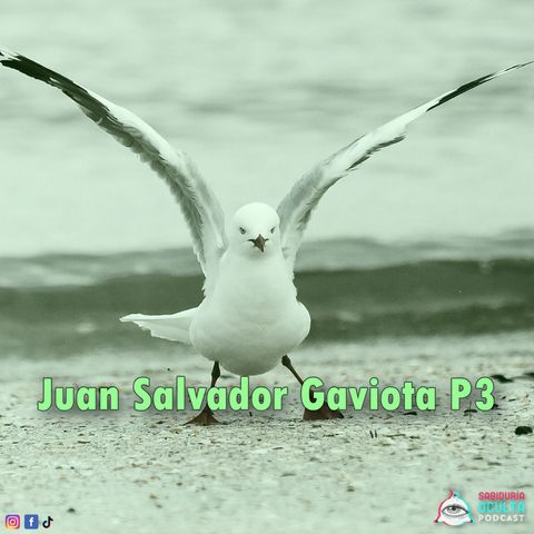 Juan Salvador Gaviota P3