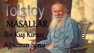 ''Bir Kuş Kirazı Ağacının Sonu'' Tolstoy