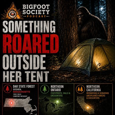 Something Roared Outside Her Tent in DAR State Forest