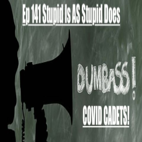 141. Stupid Is  As Stupid Does