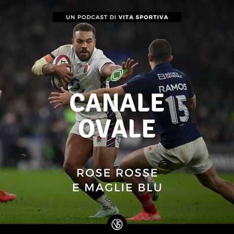 Rose rosse e maglie blu