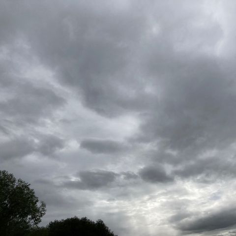 What Does Love Have to Say?