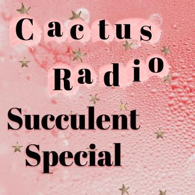 Succulent Special: Quarantine Edition