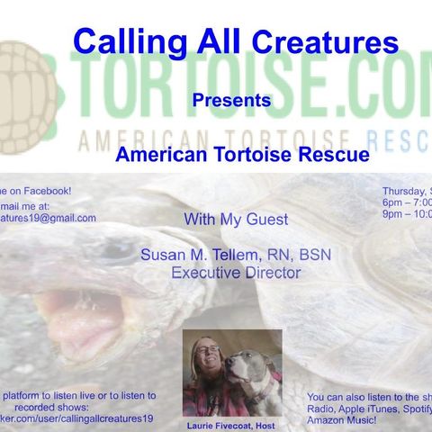 Calling All Creatures Presents American Tortoise Rescue