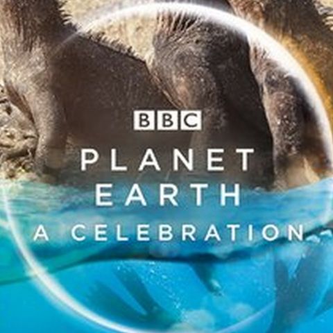 Jo Shinner From BBC America's Planet Earth A Celebration