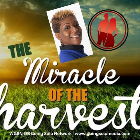 Miracle Harvest  Part 4 - Davida Smith