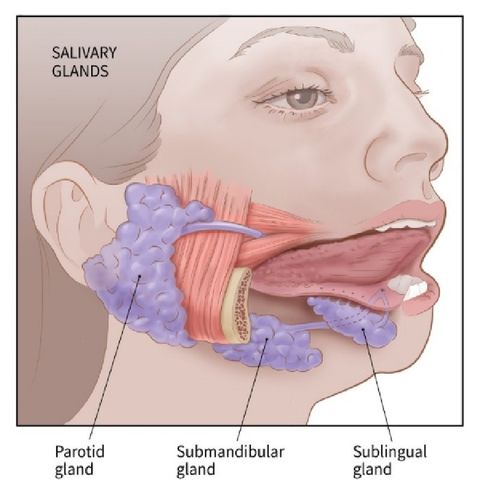 Surgical Pearls | Episode 4 | Salivary Gland Tumours & Their Frequency