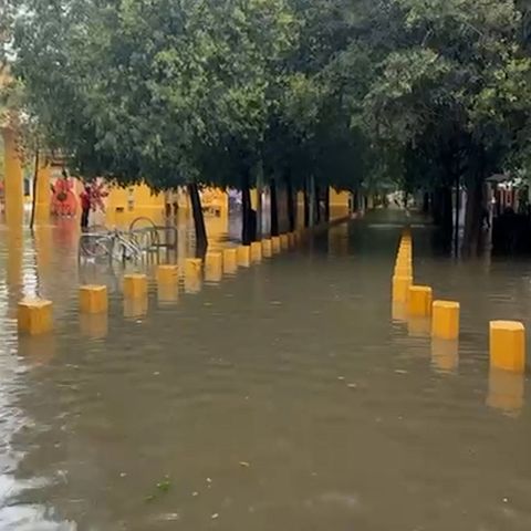 "Los avisos naranjas ayudan a ser precavidos y a usar el sentido común"