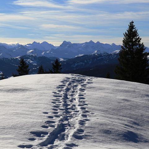 Ep. 38 - Ski & Schnee: sport in montagna sulla neve 🇮🇹 Luisa's Podcast